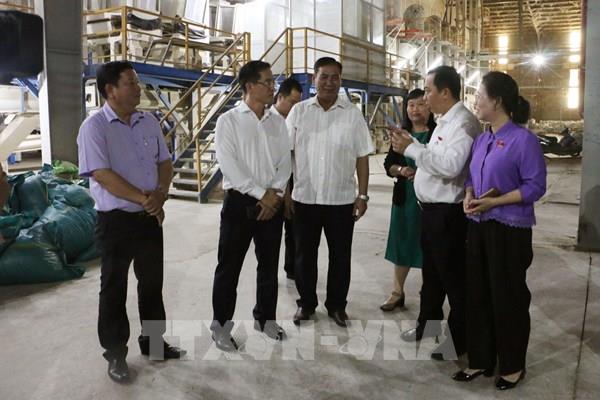 Tháo gỡ nút thắt, tiếp sức doanh nghiệp lúa gạo Cần Thơ