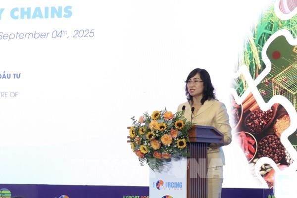 Kết nối đưa hàng Việt vào hệ thống phân phối toàn cầu