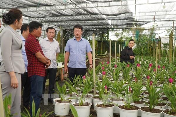 "Cú hích" cho làng hoa trăm tuổi Sa Đéc