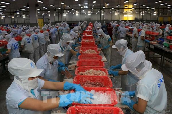 Xuất khẩu thuỷ sản 9 tháng tăng 15,5%