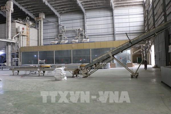 Linh hoạt gỡ khó trong xuất khẩu gạo