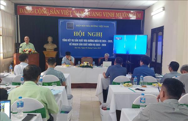 Năng suất đường Việt Nam tiếp tục dẫn đầu khu vực