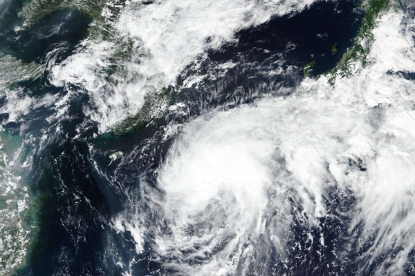 Nhật Bản: Bão Peipah đổ bộ, gây mưa lớn tại nhiều khu vực