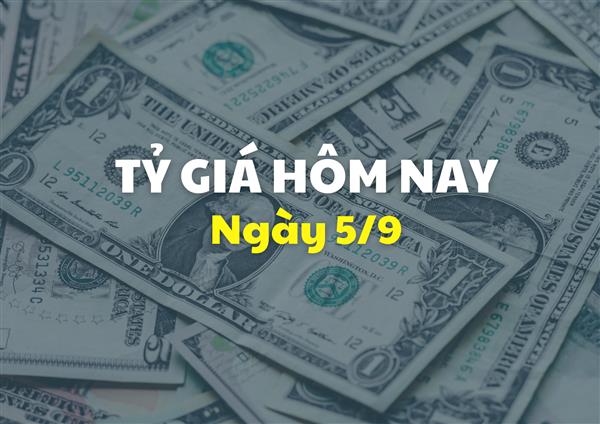 Tỷ giá hôm nay 5/9: Các ngân hàng giữ ổn định giá bán USD