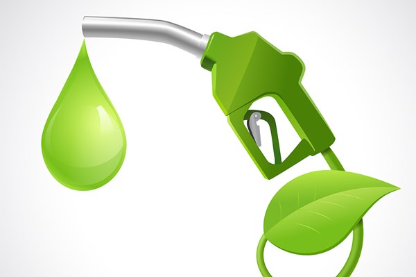 Trung Quốc quan ngại trước kế hoạch cắt giảm ưu đãi cho dầu diesel tái tạo của Mỹ