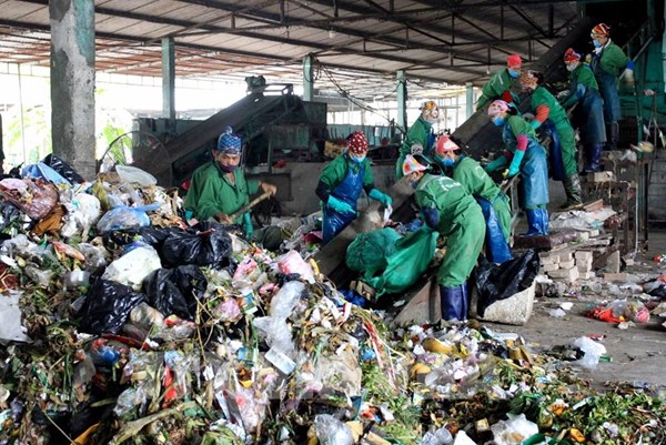 Cần sớm thu gom rác thải ùn ứ trên các tuyến đường tại Đà Nẵng