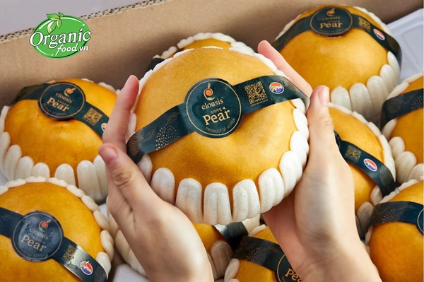 Hàn Quốc xuất khẩu lê chất lượng cao sang Việt Nam