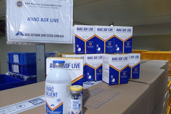 AVAC Việt Nam xuất khẩu thêm 340.000 liều vaccine dịch tả lợn châu Phi sang Philippines