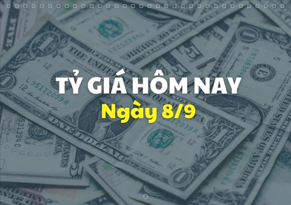 Tỷ giá hôm nay 8/9: Giá USD và NDT biến động trái chiều