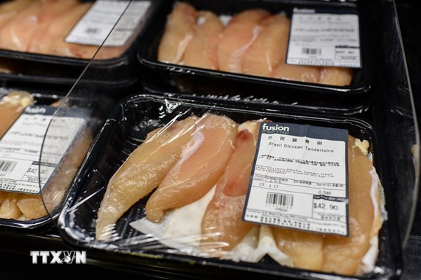 Nông dân chăn nuôi gia cầm Israel phản đối kế hoạch nhập khẩu gà đông lạnh