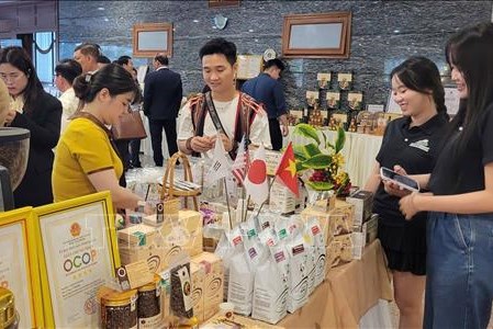 Gia Lai: Thay đổi tư duy sản xuất, khẳng định vị thế nông sản