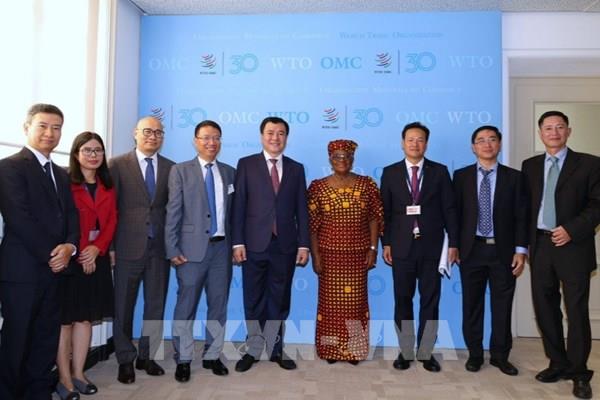 Việt Nam ủng hộ tiến trình cải cách WTO