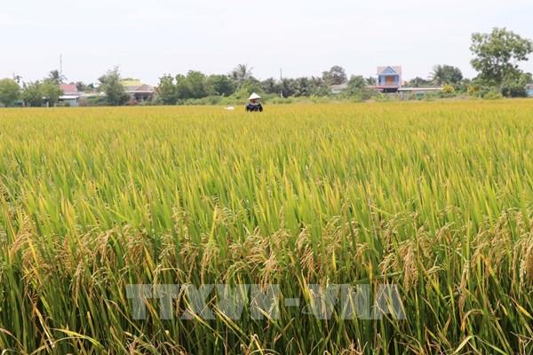 Thủ tướng giao 20 nhiệm vụ phát triển công nghệ chiến lược