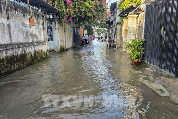 Hơn 50 sáng kiến hiến kế, mở lối cho Cần Thơ thoát ngập