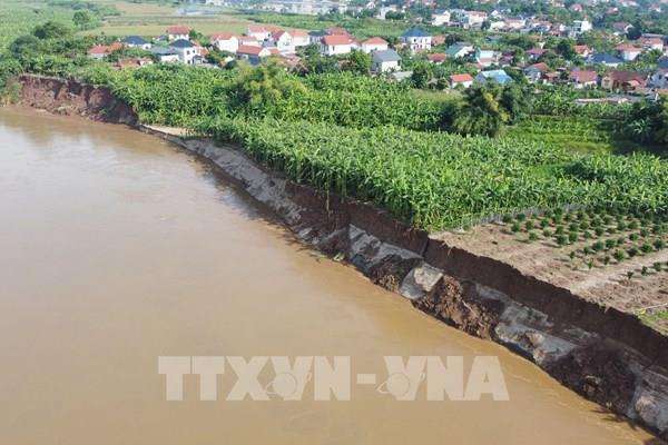Phú Thọ, Bắc Ninh, Hải Phòng đảm bảo an toàn đê điều ứng phó lũ
