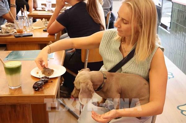 Độc đáo quán cà phê thú cưng tại Brussels