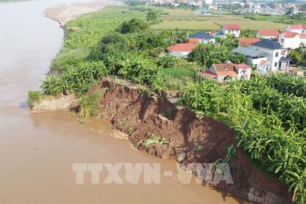 Công bố tình huống khẩn cấp về sạt lở bờ, vở sông Thao đoạn qua xã Tam Nông  (Phú Thọ)