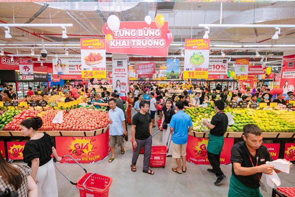 Nhiều chuỗi bán lẻ thu hồi, dừng bán sản phẩm đồ hộp Hạ Long