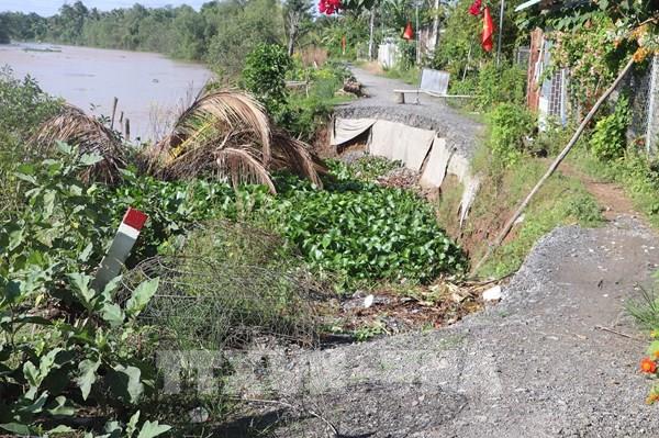 Đồng Tháp đề xuất 160 tỷ đồng chống sạt lở bờ sông