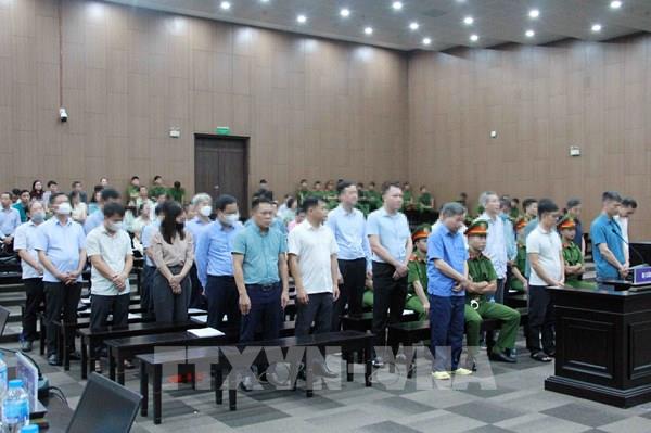 Vụ Tập đoàn Thuận An: Phân hóa trách nhiệm từng bị cáo để có mức án đề nghị phù hợp