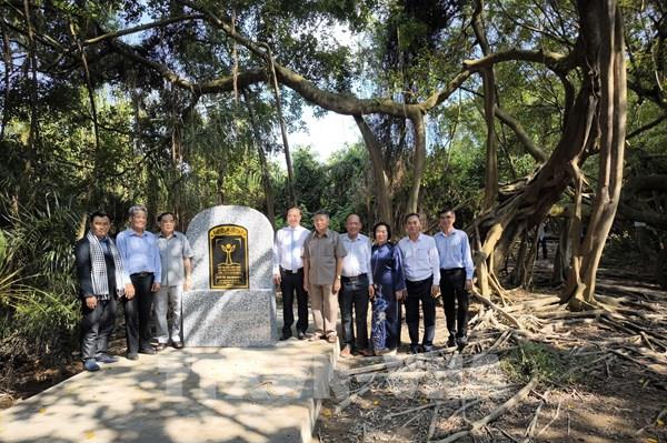 Năm cây cổ thụ được công nhận là Cây di sản Việt Nam