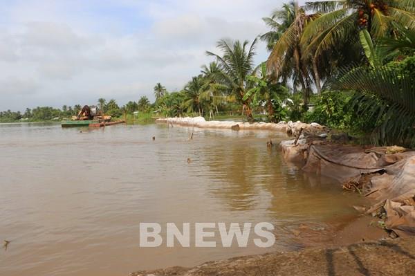 Khắc phục sạt lở trên tuyến đê bao sông Măng ở Vĩnh Long