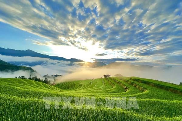 Mùa vàng Thông Nguyên - Bản giao hòa giữa sắc màu văn hóa và thiên nhiên