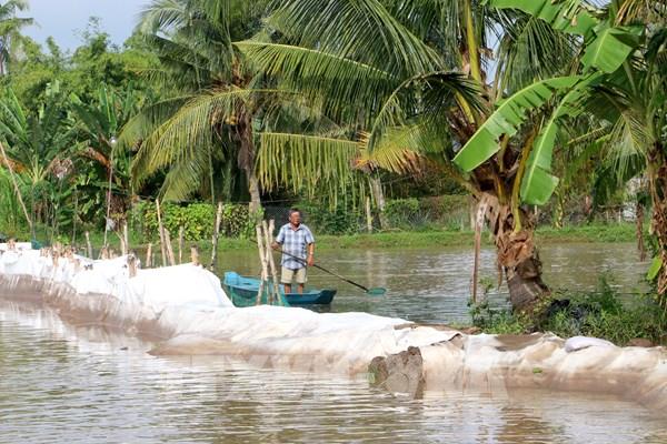 Vĩnh Long oằn mình trước sạt lở và triều cường