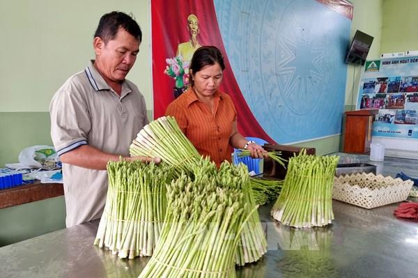 OCOP Khánh Hòa: Đòn bẩy kinh tế cho sản phẩm miền núi