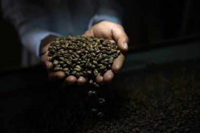 Giá cà phê tại Mỹ tăng mạnh nhất trong nhiều thập kỷ