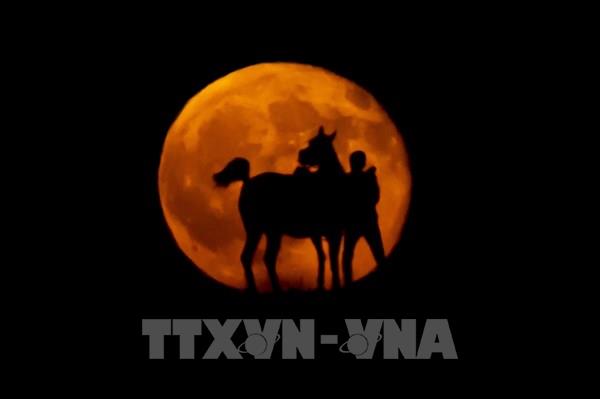 Tổng hợp sự kiện quốc tế nổi bật trong tuần qua ảnh (từ ngày 8-14/9/2025)