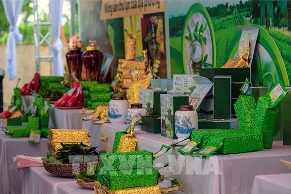 Nâng cao giá trị và sức cạnh tranh vùng chè Đường Hoa