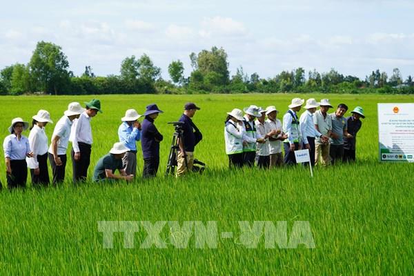 Kiện toàn hệ thống khuyến nông quốc gia theo mô hình chính quyền hai cấp