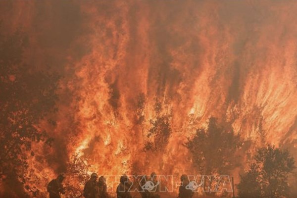 Thời tiết cực đoan mùa hè gây thiệt hại 43 tỷ euro cho châu Âu