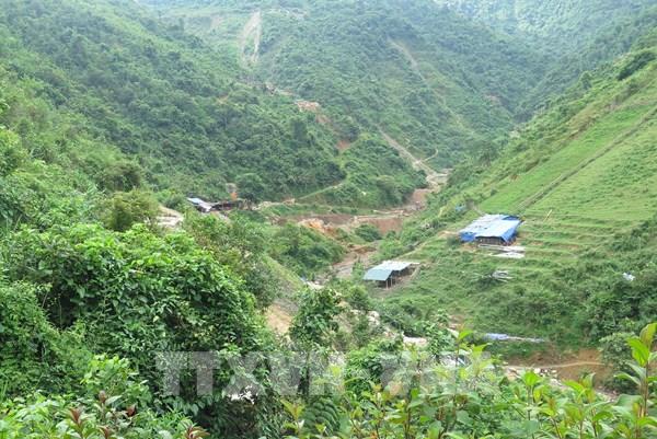 Lào Cai tạo bước ngoặt từ sản xuất sang kinh tế lâm nghiệp