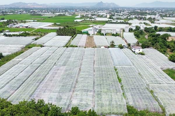 Gia tăng giá trị nông sản nhờ sức bật công nghệ