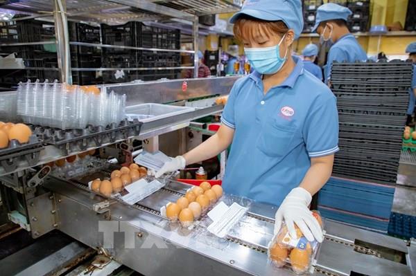 TP. Hồ Chí Minh bình ổn thị trường, kích cầu tiêu dùng cuối năm