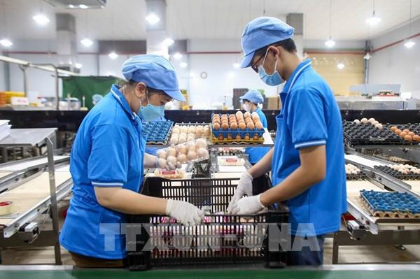 Xây dựng cơ chế bảo vệ người tiêu dùng lấy người dân làm trung tâm