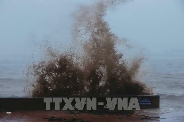 Ứng phó với bão số 9: Ninh Bình cấm biển từ 12 giờ trưa 24/9