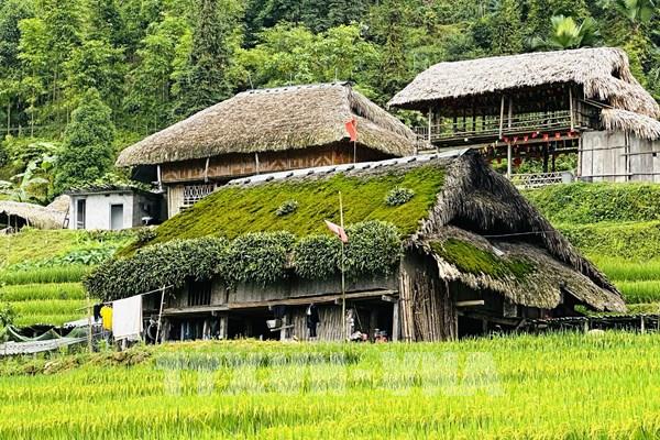 Những mái nhà rêu dưới chân Tây Côn Lĩnh