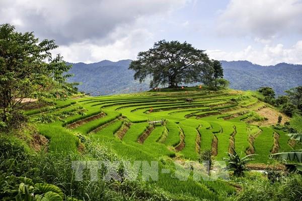 Điểm hẹn du lịch cộng đồng mới vùng Mường Thàng
