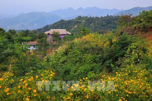 Xóm Mừng: Điểm hẹn du lịch cộng đồng mới giữa vùng Mường Thàng