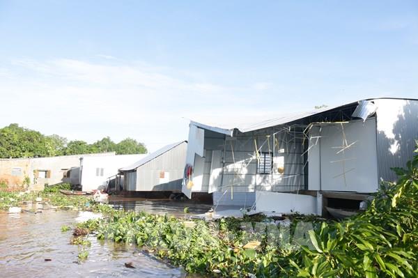 Đồng Tháp: 6 căn nhà bị cuốn trôi xuống sông Tiền