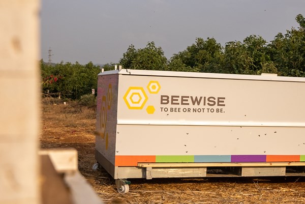 Tổ ong robot sử dụng AI ứng phó biến đổi khí hậu