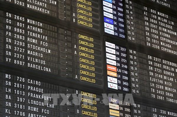Gián đoạn kéo dài tại các sân bay châu Âu sau khi bị tấn công mạng