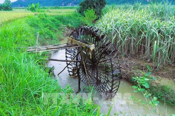 Cọn nước miền Tây xứ Nghệ và nhịp chảy của văn minh lúa nước