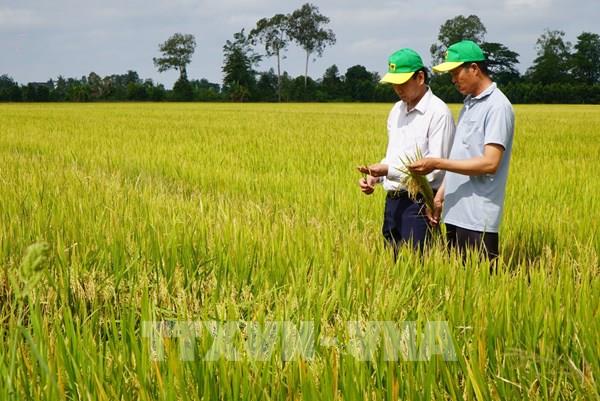 Trồng trọt sẽ giảm ít nhất 15% lượng phát thải khí nhà kính vào năm 2035