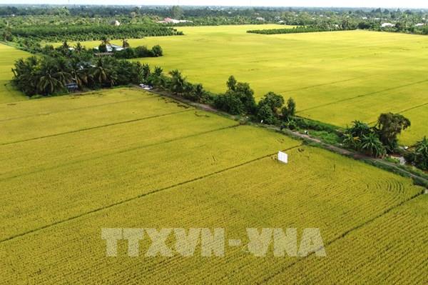 Trồng trọt sẽ giảm ít nhất 15% lượng phát thải khí nhà kính vào năm 2035