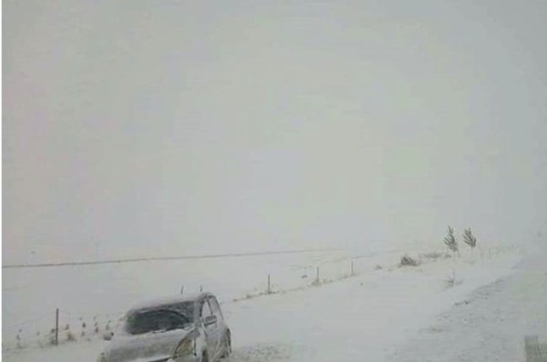 Tuyết rơi bất thường tại phía Tây Mông Cổ