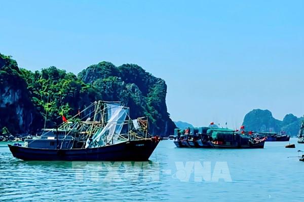 Bão số 9 tiến gần Quảng Ninh – Hải Phòng, đề phòng ngập lụt, sạt lở và gió giật mạnh